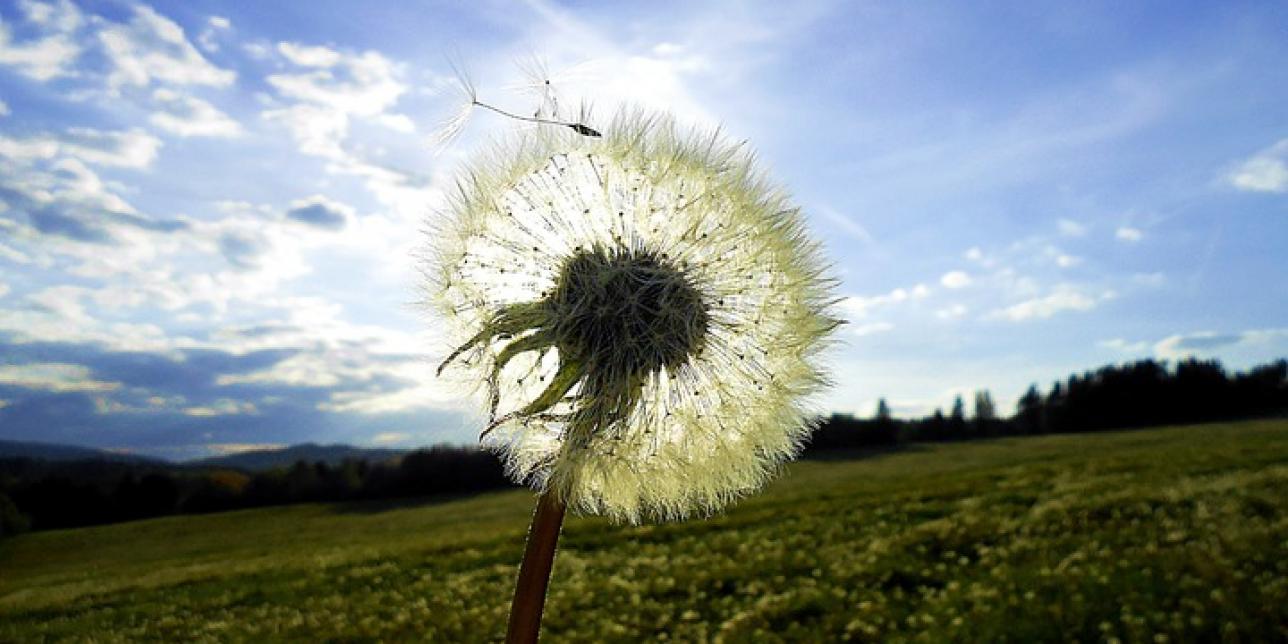 Visible lo invisible: el Aire