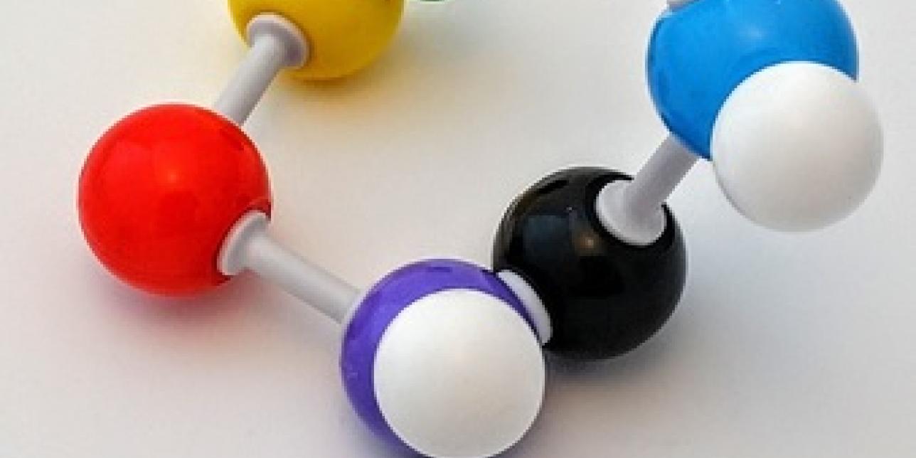 Ciclo Biogeoquímico: ciclo del Carbono