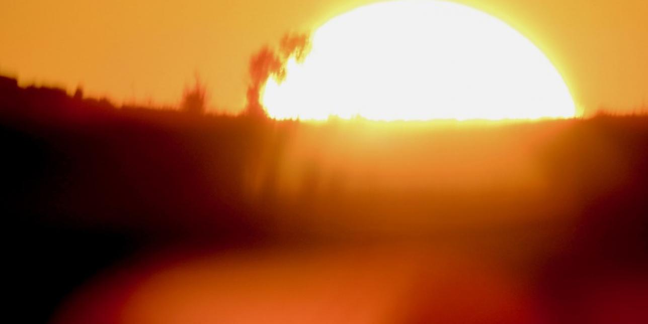 Alerta amarilla: ola de calor