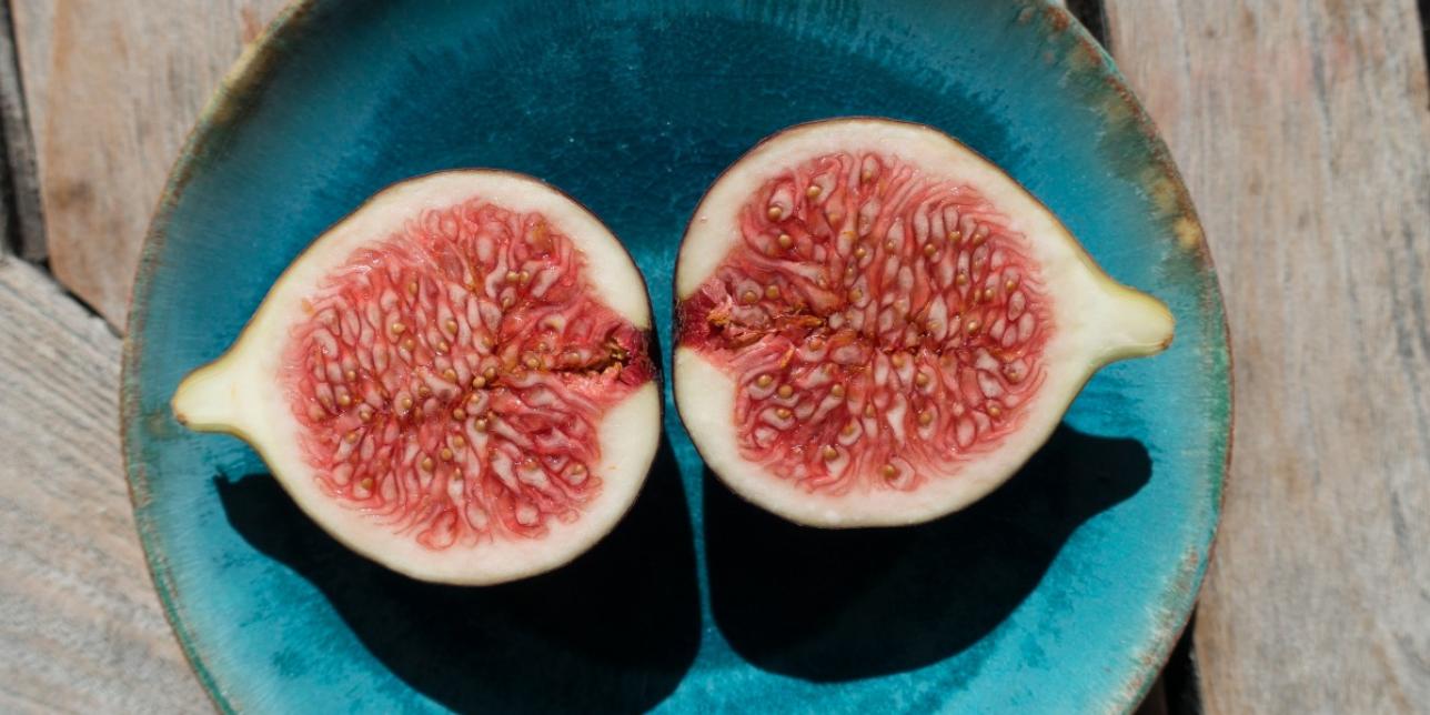 ¿Qué ocurre en el aparato digestivo?