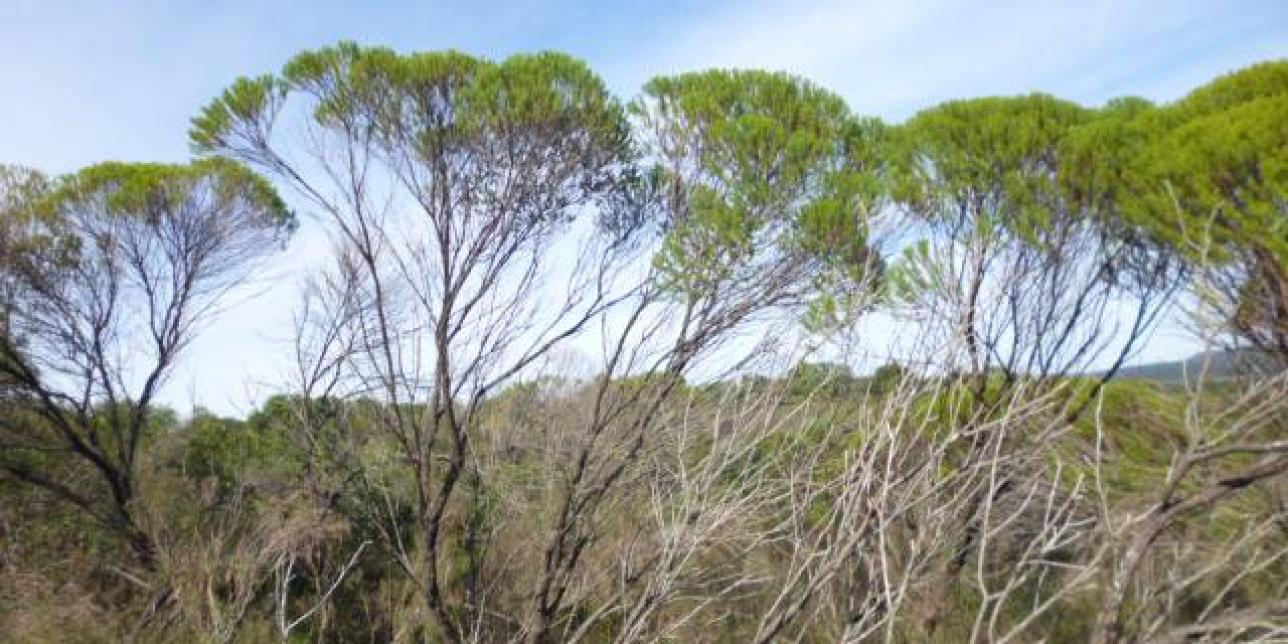Un parque natural e histórico