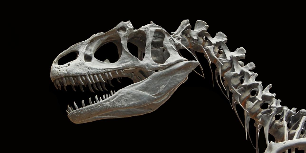 ¡Nidada de huevos de dinosaurios en Uruguay!