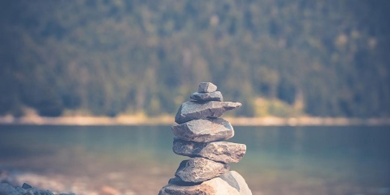 El Mindfulness en la educación