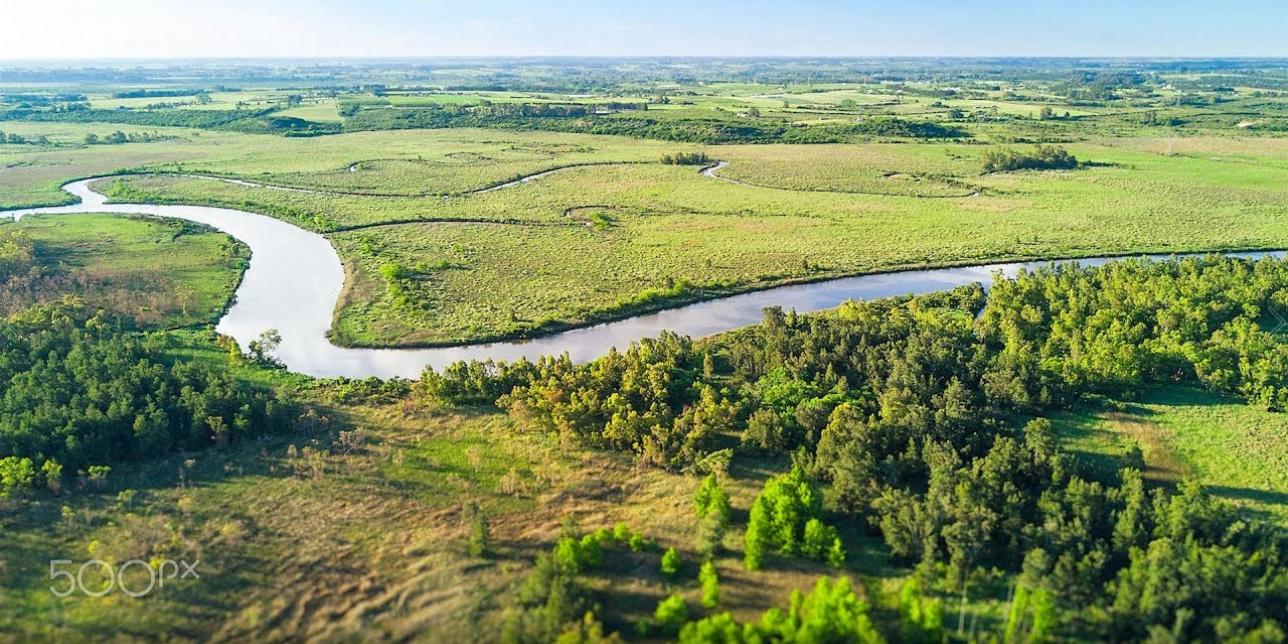 Paisajes de Uruguay a través del arte