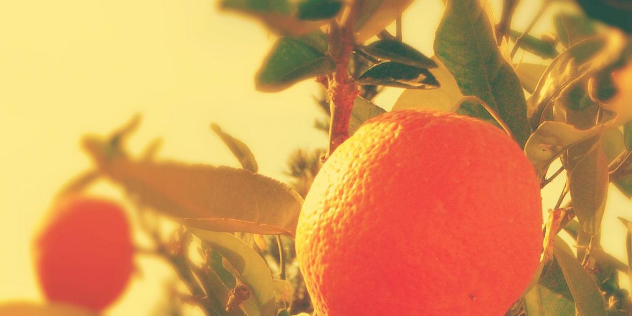 Una vitamina con mucha historia: vitamina C