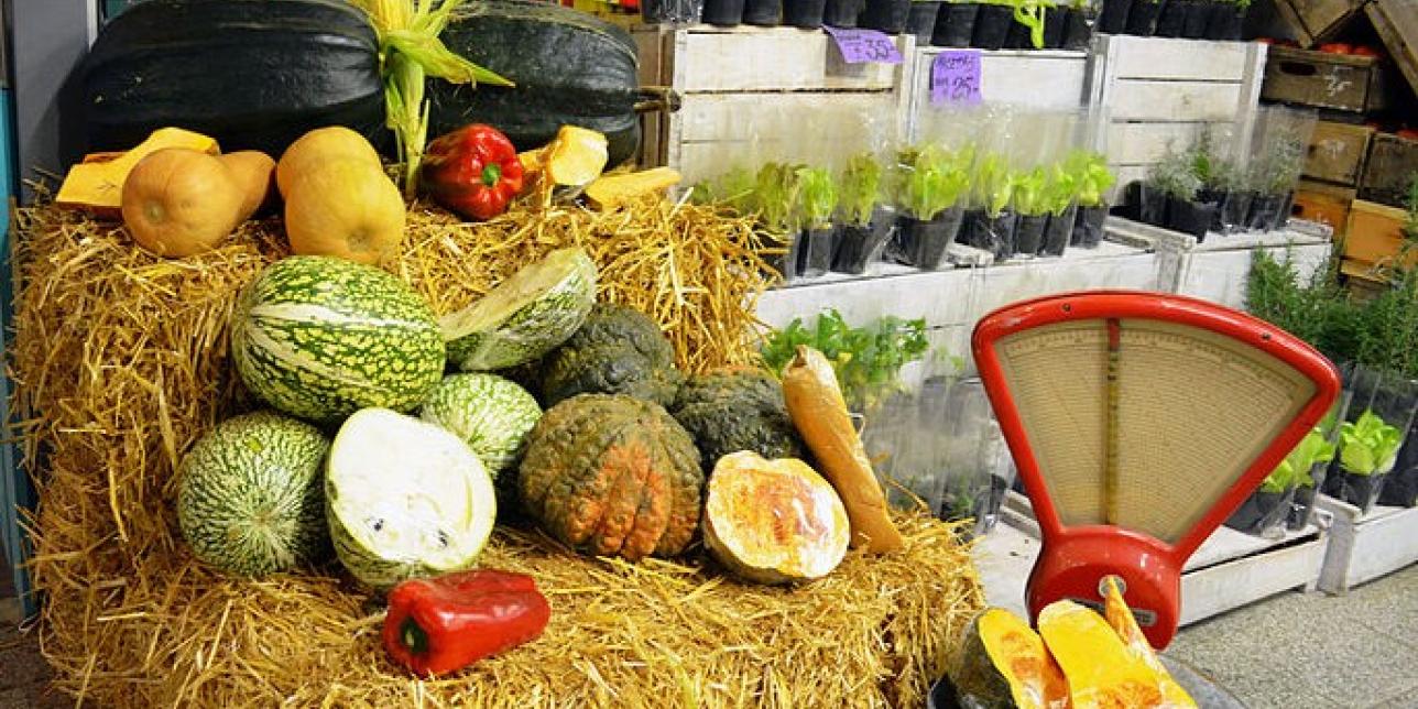 De la tierra a la mesa: el camino de los alimentos
