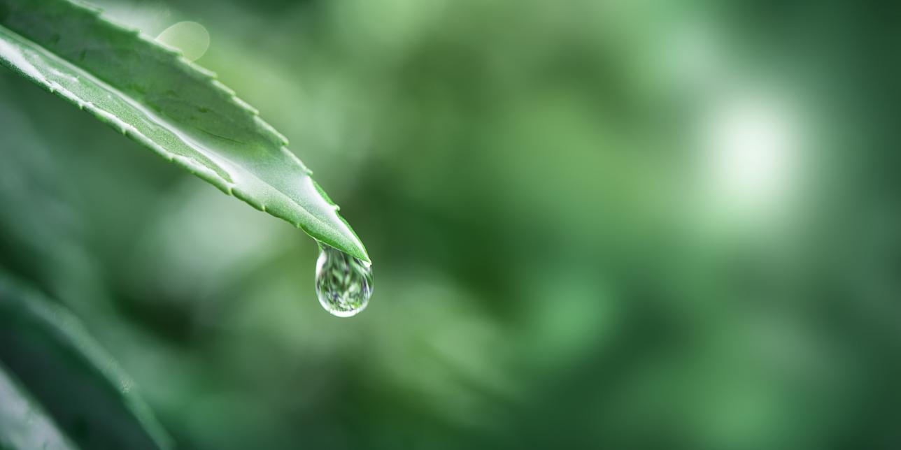 Hablemos sobre el agua