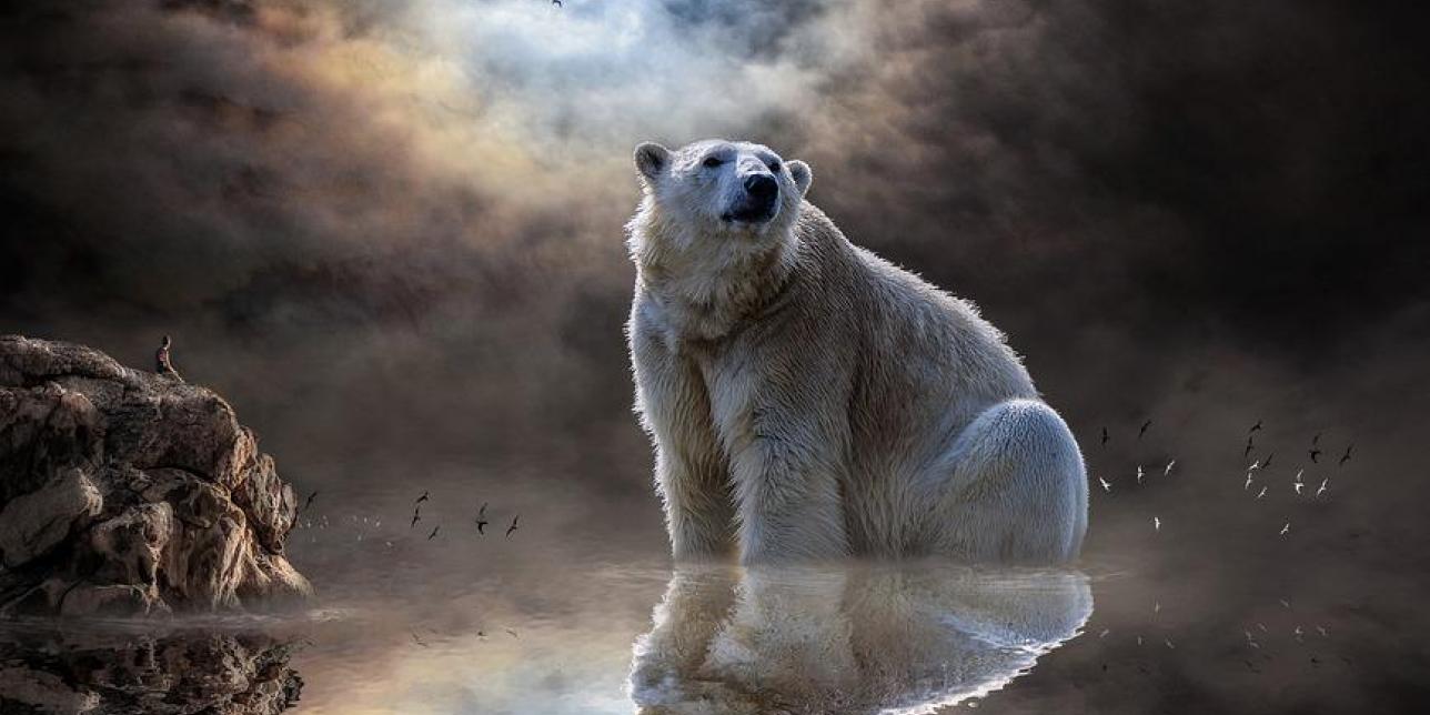 Have you ever thought about climate change?