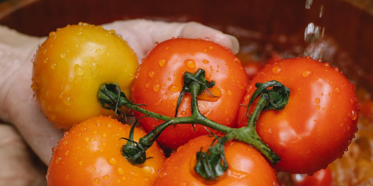 Conociendo una importante fruta: el tomate