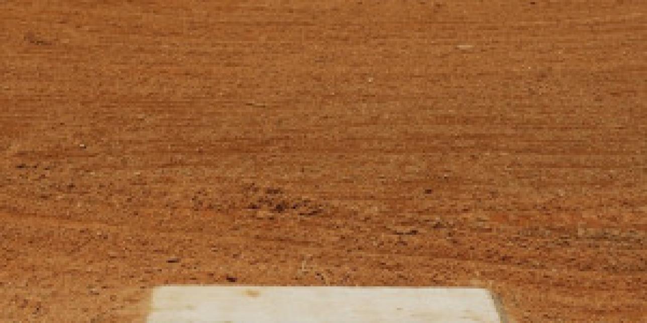 ¡Aprender a jugar Sóftbol!