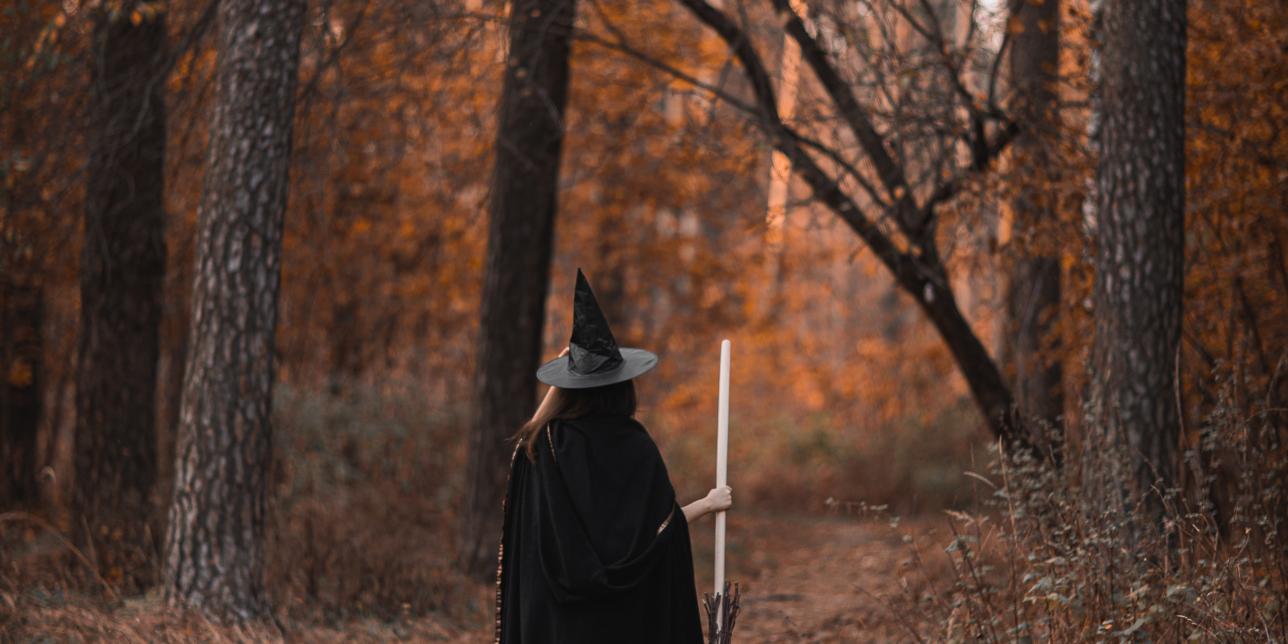 Conociendo a las brujas