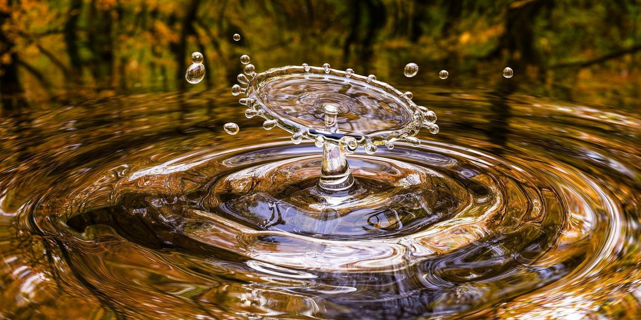 Los líquidos y algunas particularidades del agua