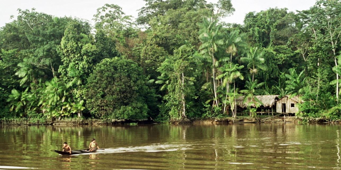 La Selva amazónica