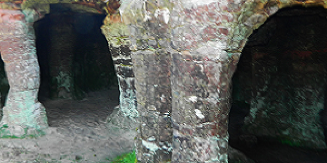 Biodiversidad en Grutas del Palacio