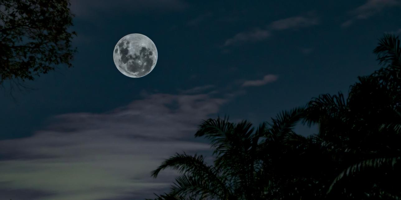 José Cuneo, el enamorado de la luna