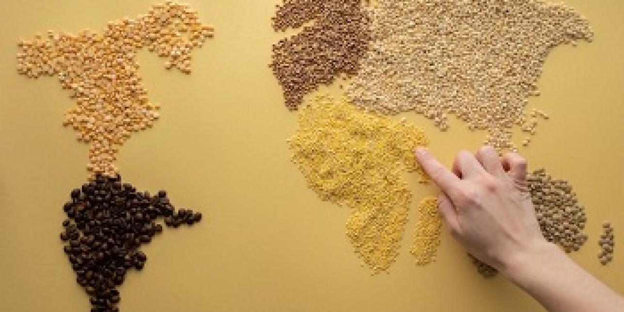 Un cereal con potencial: el mijo