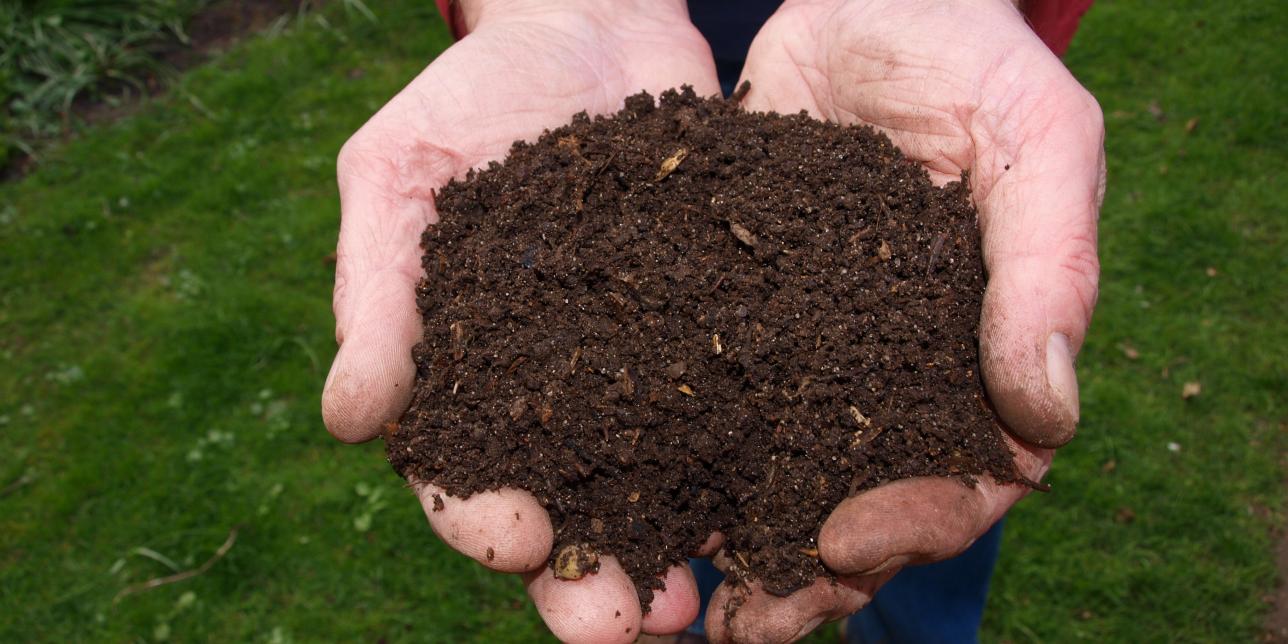 De basura a tesoro: Compost