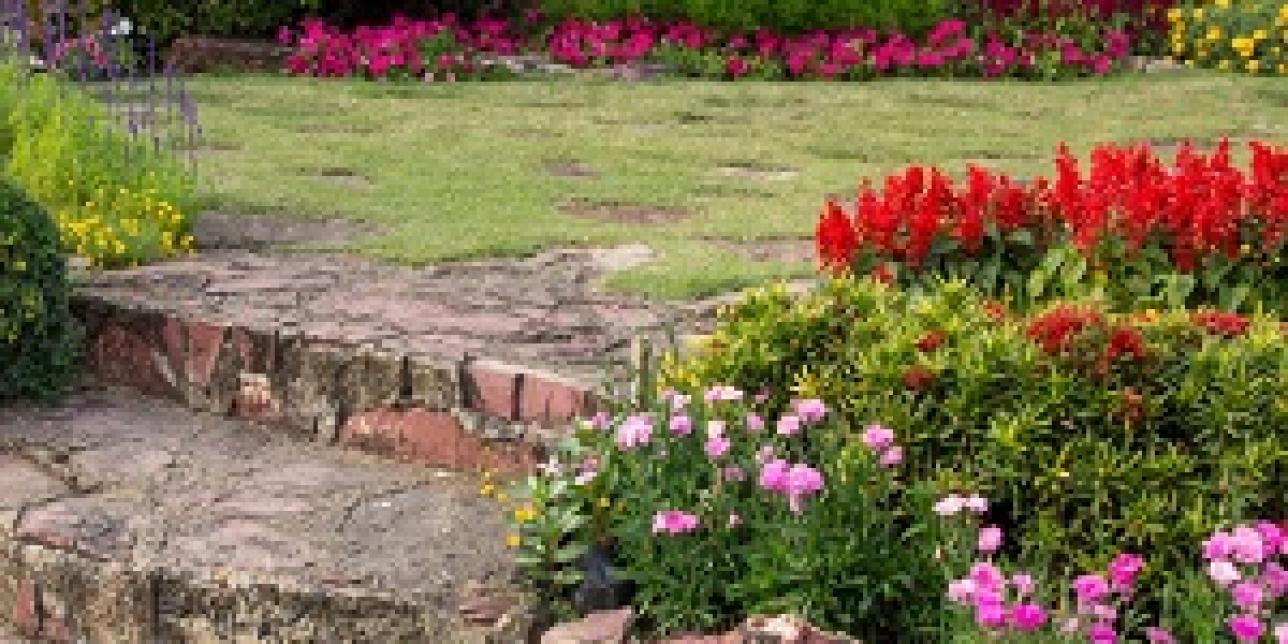 El jardín mágico: plantas, animales y números