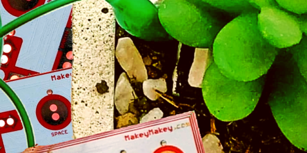 Alerta de riego con Makey Makey