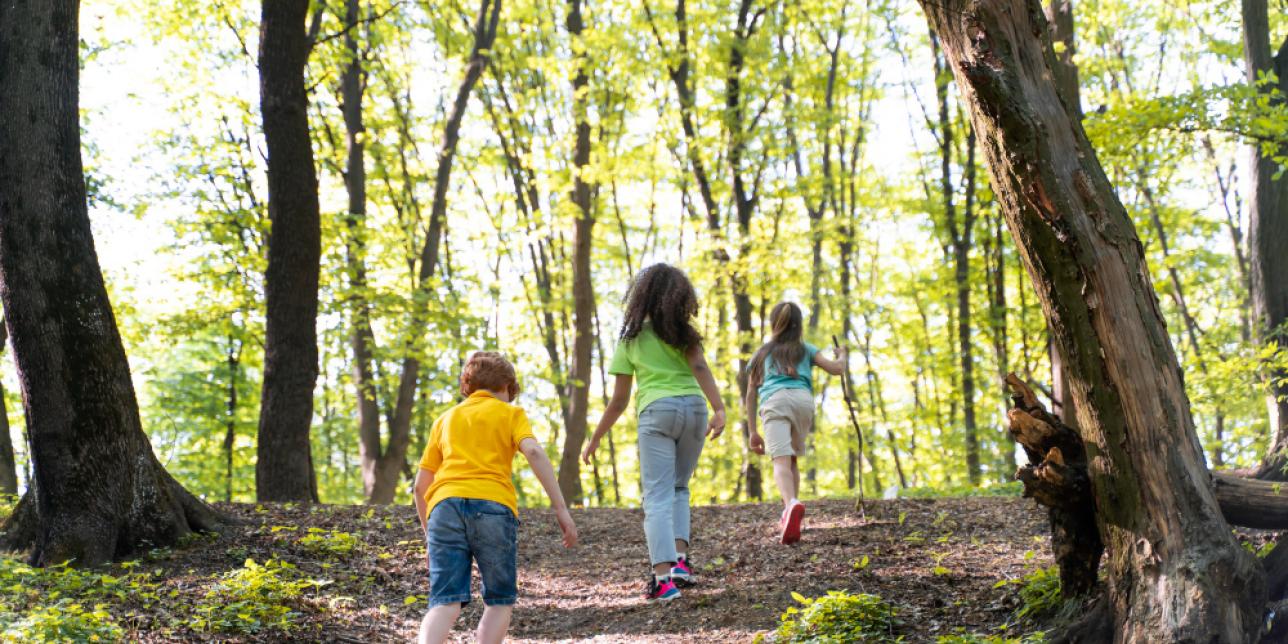 Educación Física en la naturaleza