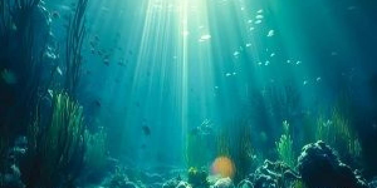Superpoderes bajo el mar: aprendemos y colaboramos