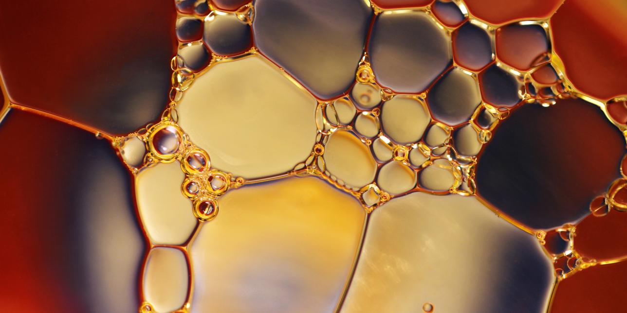La Química Orgánica de todos los días