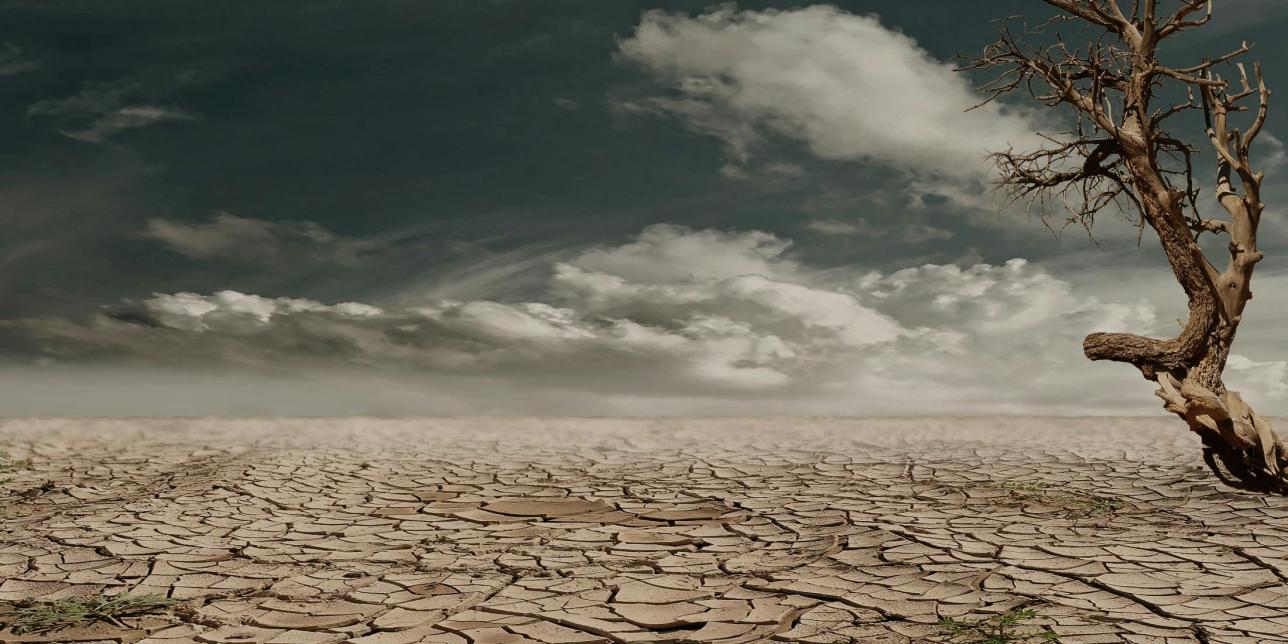 Cambio climático