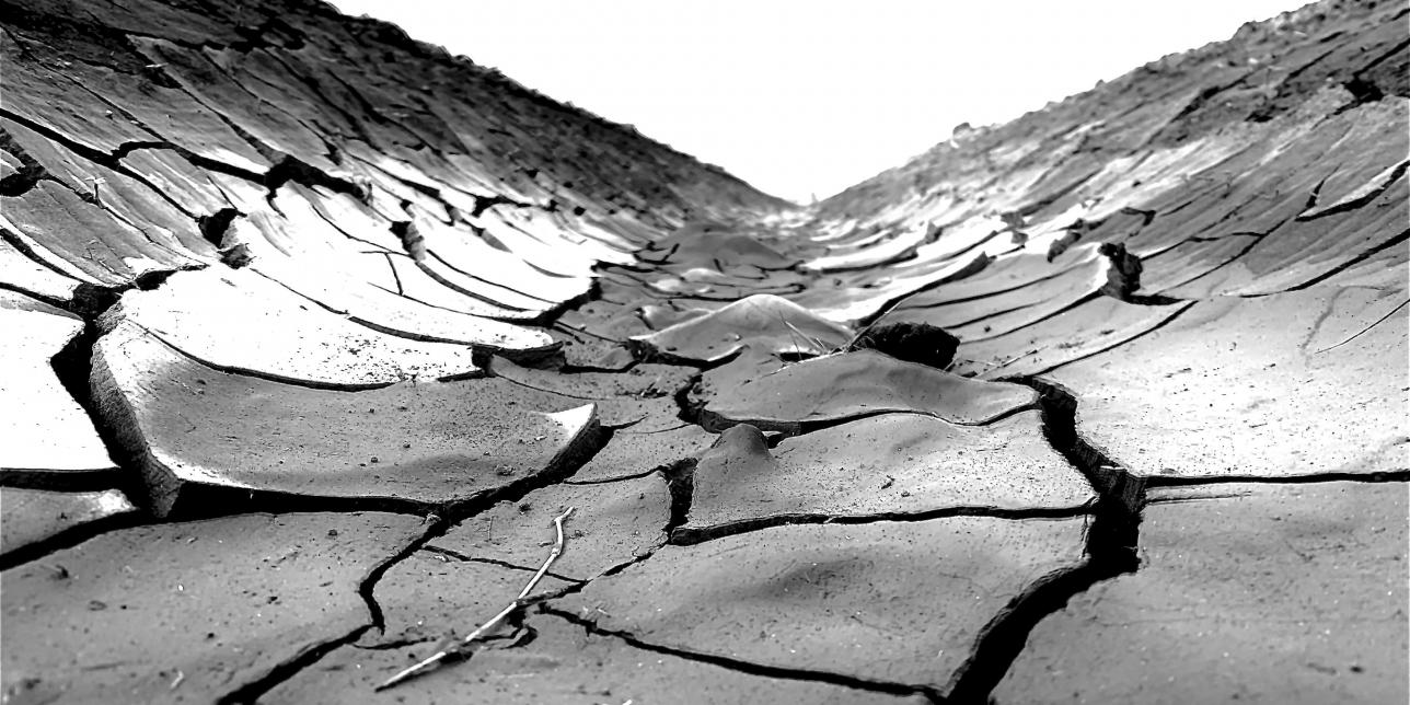 Actuando como si el agua dulce fuera un recurso abundante
