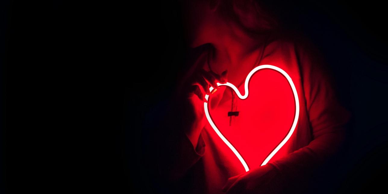 Un viaje por el aparato cardiovascular