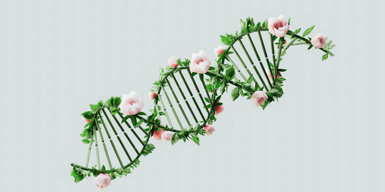 ADN y Biodiversidad: un código que nos define