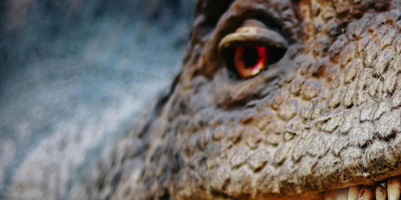 Matemáticas de un dinosaurio oriental