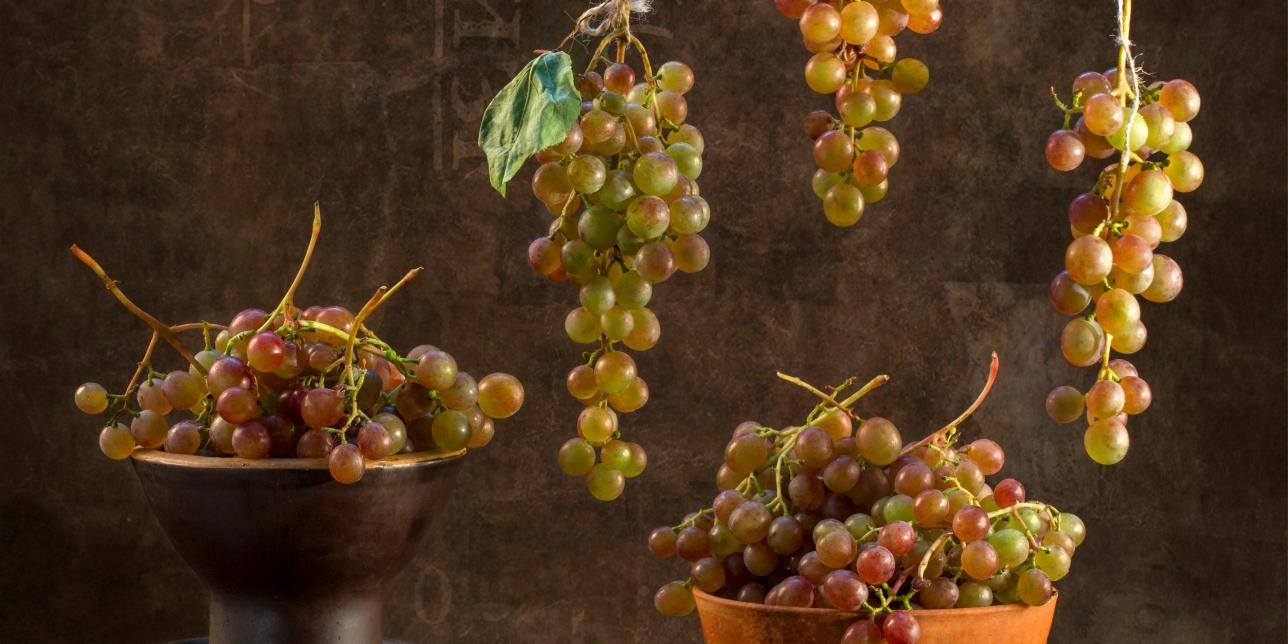 Del bocado a la nutrición