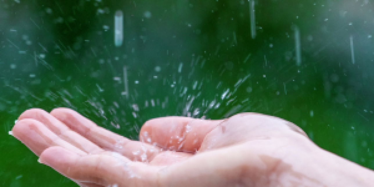 ¿Quién canta cuando llueve?