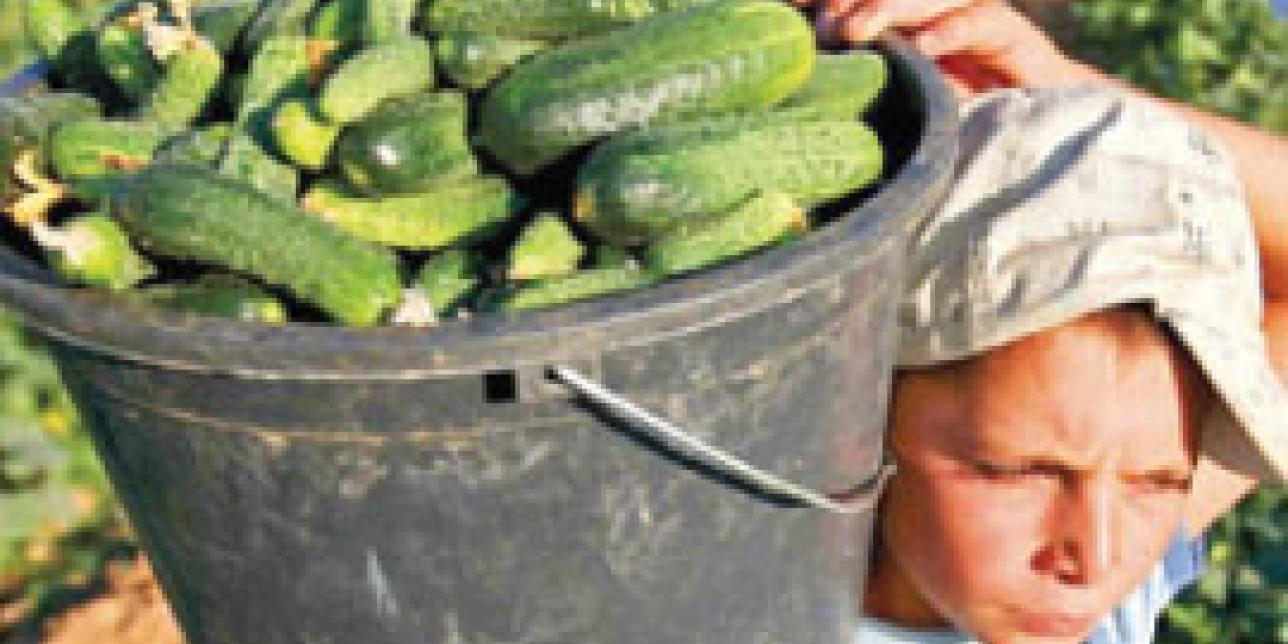 ¿Hay niños que trabajan?