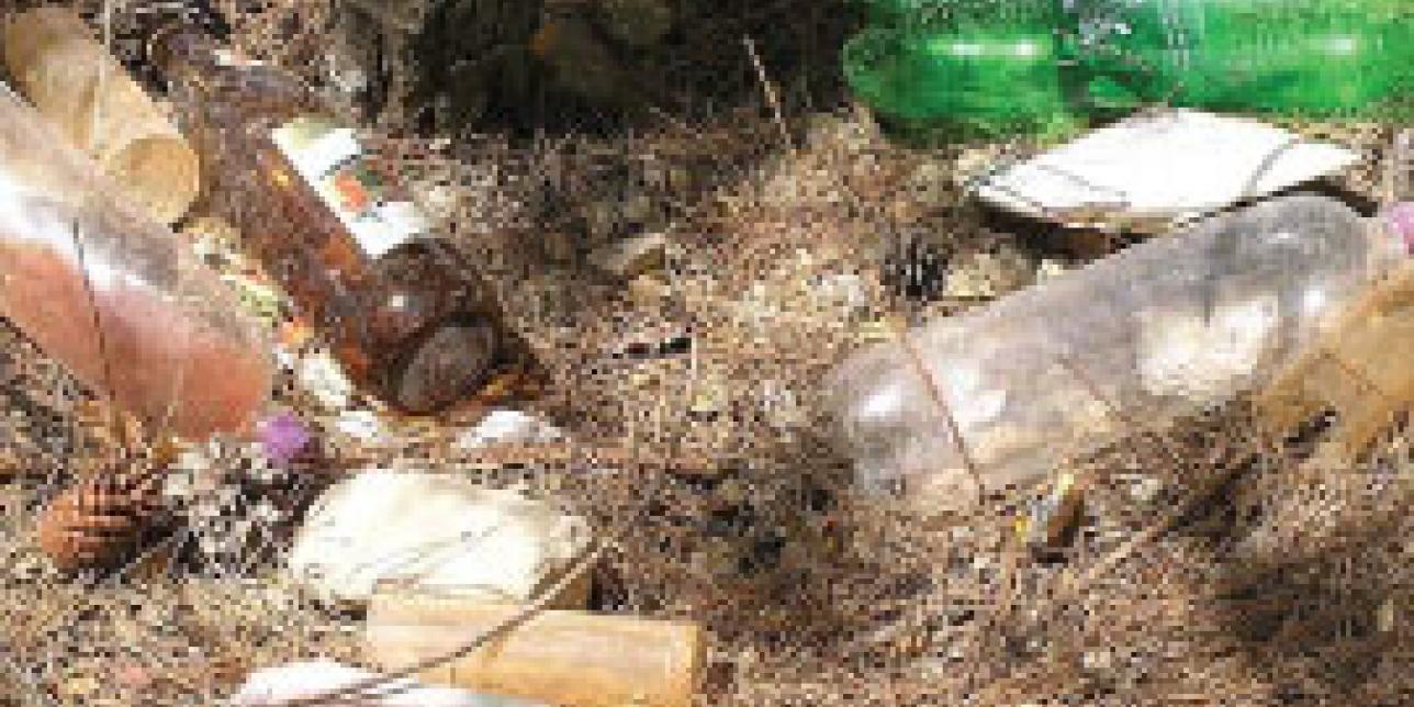 Basura en casa