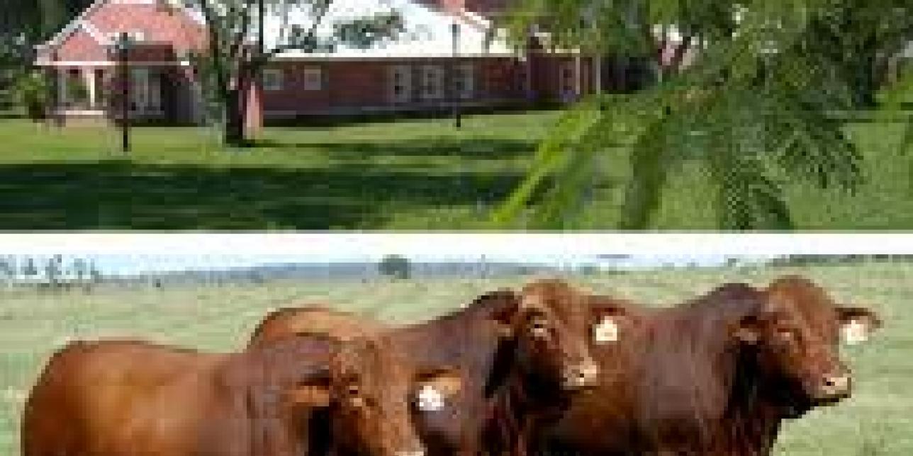 La estancia y la cabaña
