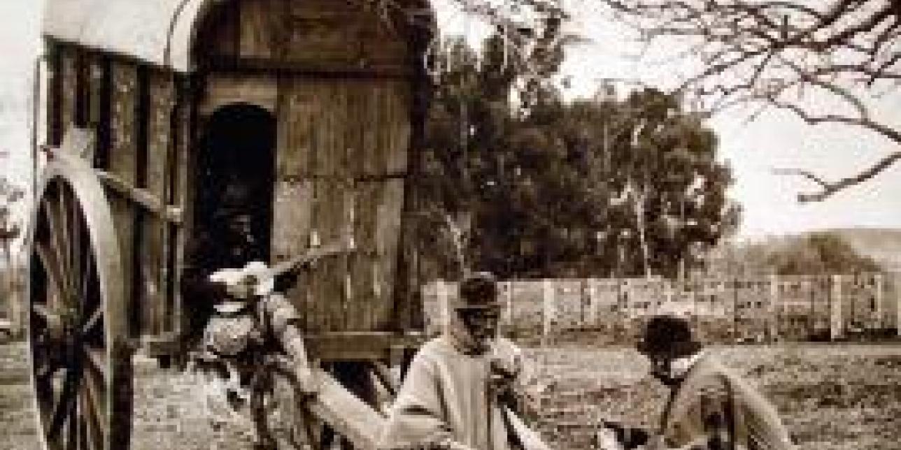 Curaduría: El gaucho